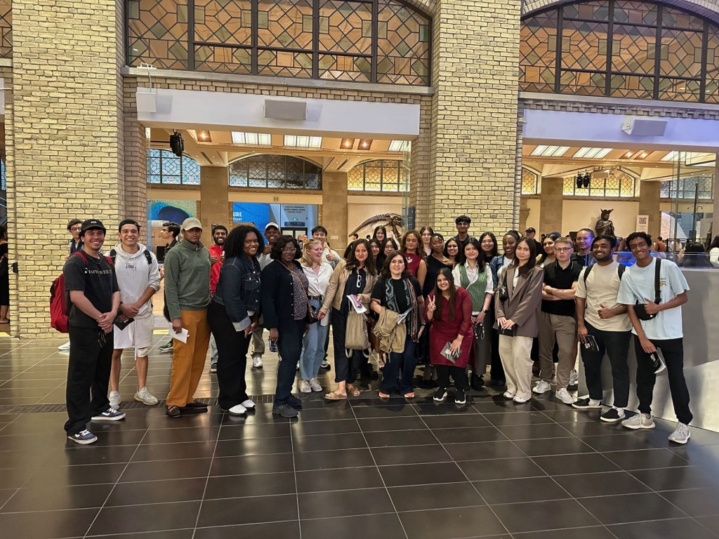 A UX Reality Check at the&nbsp;ROM